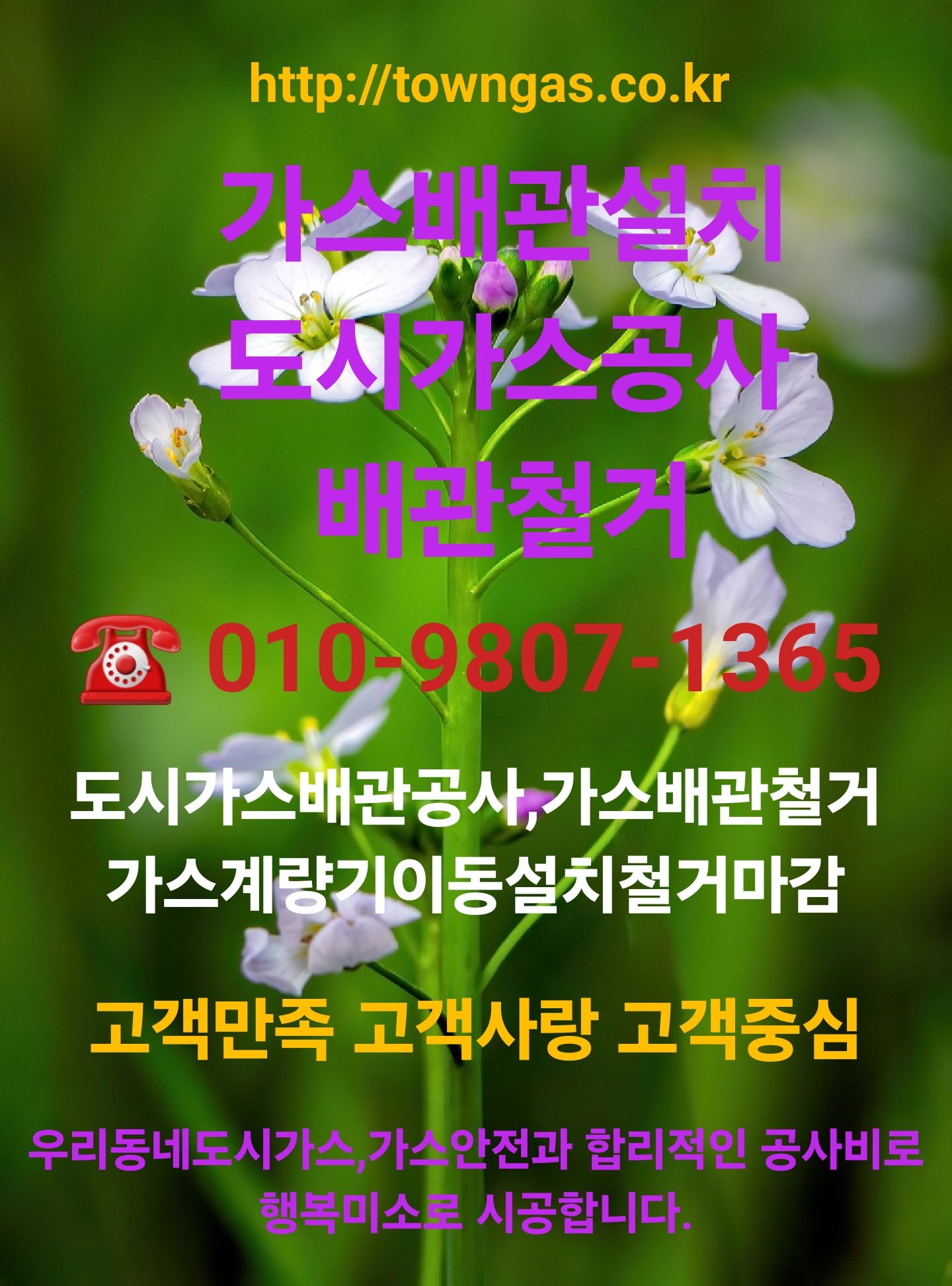 feba0f19a4da8a327c4734f113e8ad4b_1733838115_4062.jpg
